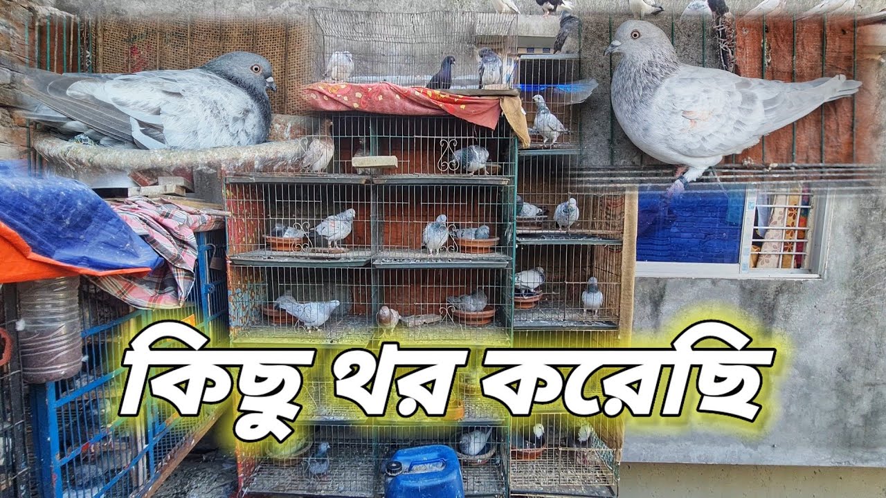 আমার বাসার আপডেট - ( 01640730279 )