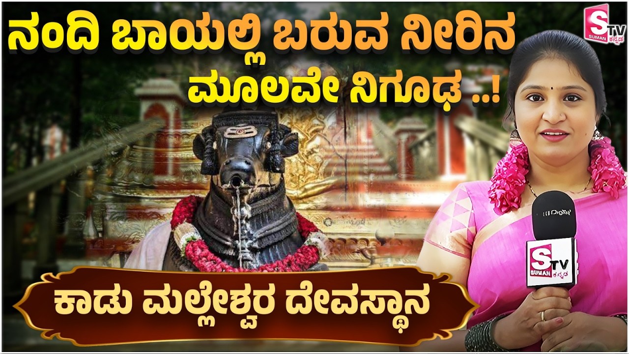 Maha Shivratri Vibes at Kadu Malleshwara Temple🕉️: ನಂದಿ ಬಾಯಲ್ಲಿ ಬರುವ ನೀರಿನ ಮೂಲವೇ ನಿಗೂಢ ..!