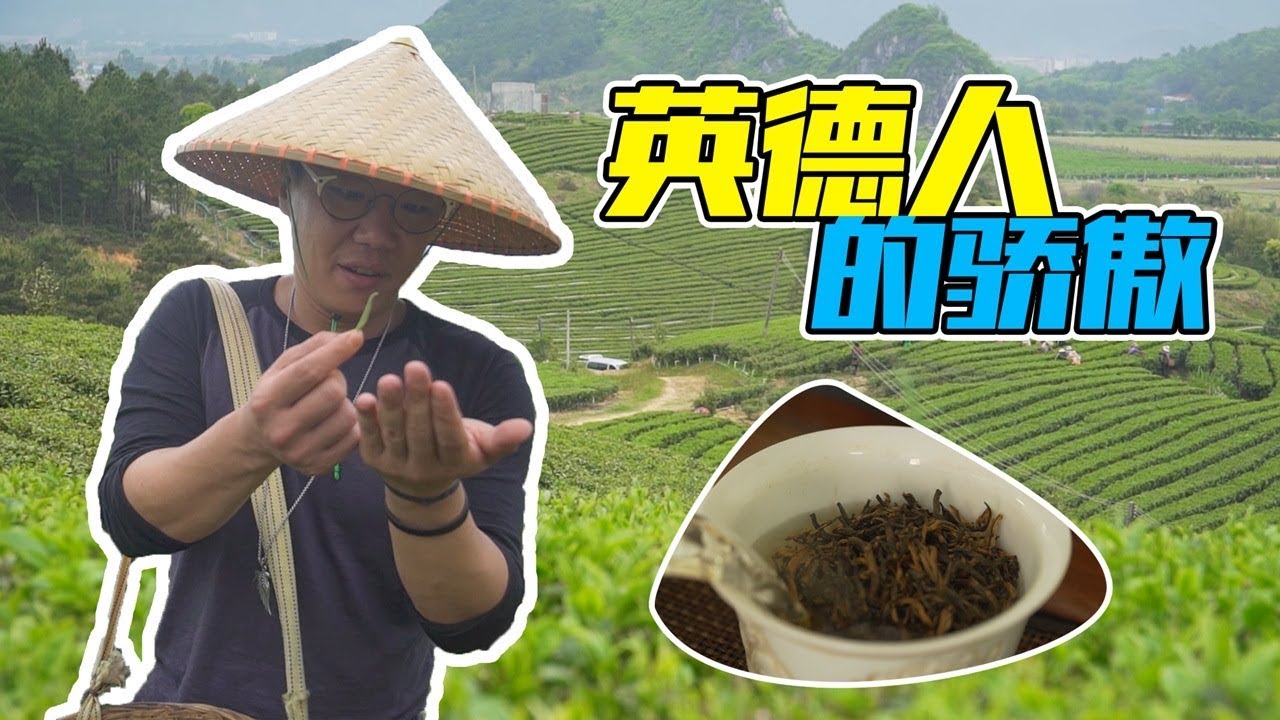 寻味︱全国地标产品，英国皇室御用，英德红茶凭什么这么牛X？ 【品城记】