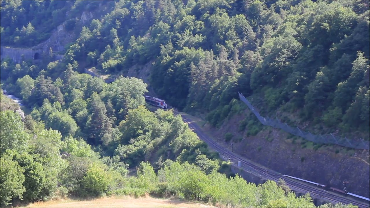 Croisement du train de bois et du Cévenol à Chapeauroux le 04 août 2025