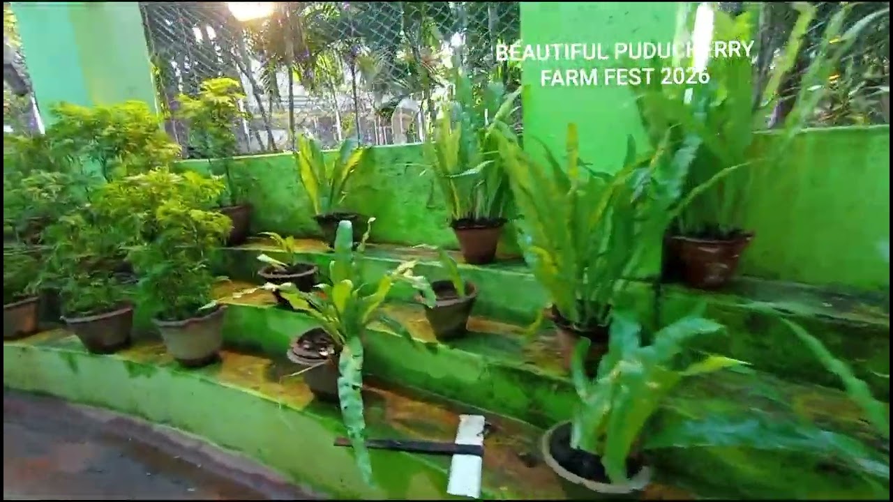 FARM FEST 2026 PUDUCHERRY PART 9