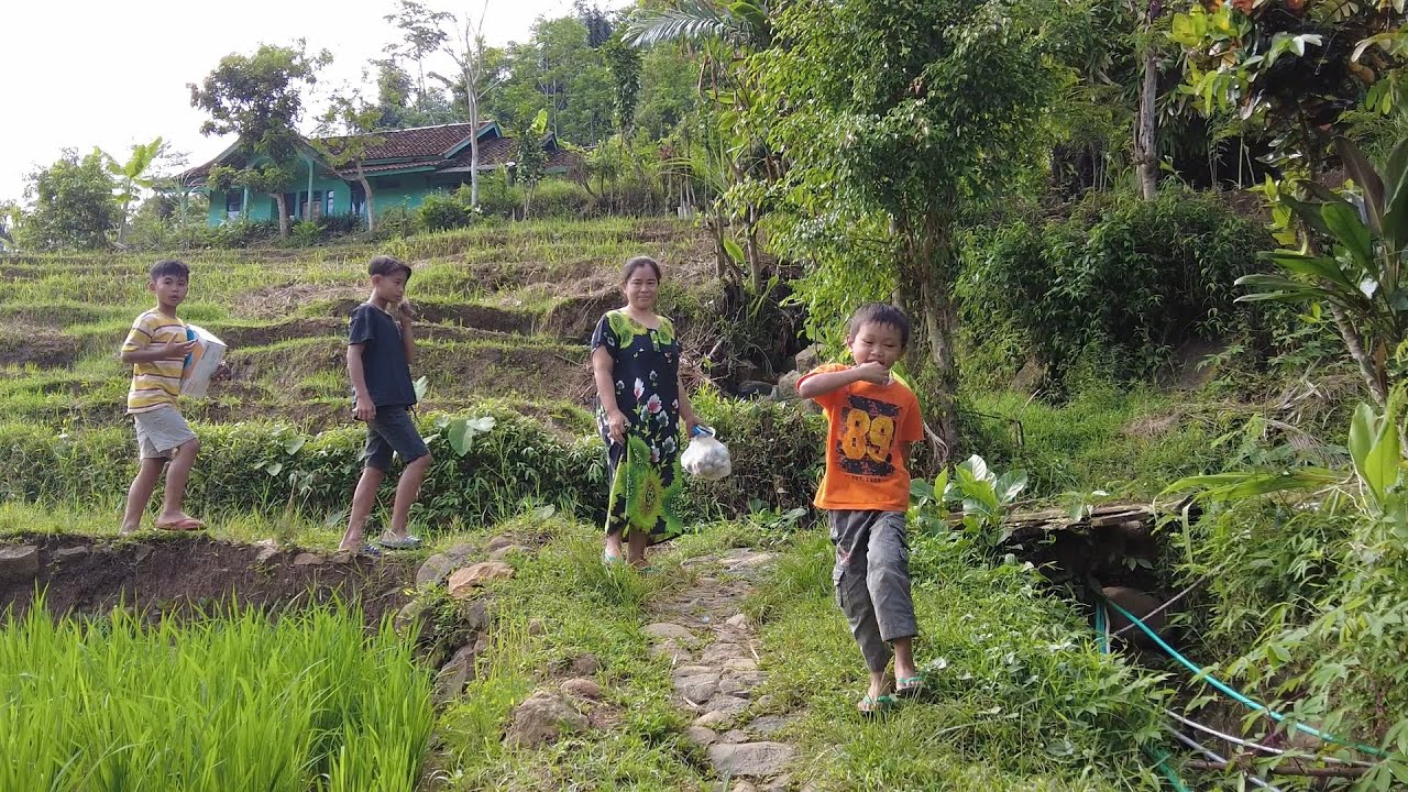 Kecapi Suling Sunda Termerdu, Akses Jalan Cikarang Cisewu Suasana Pedesaan Sunda Jawa Barat