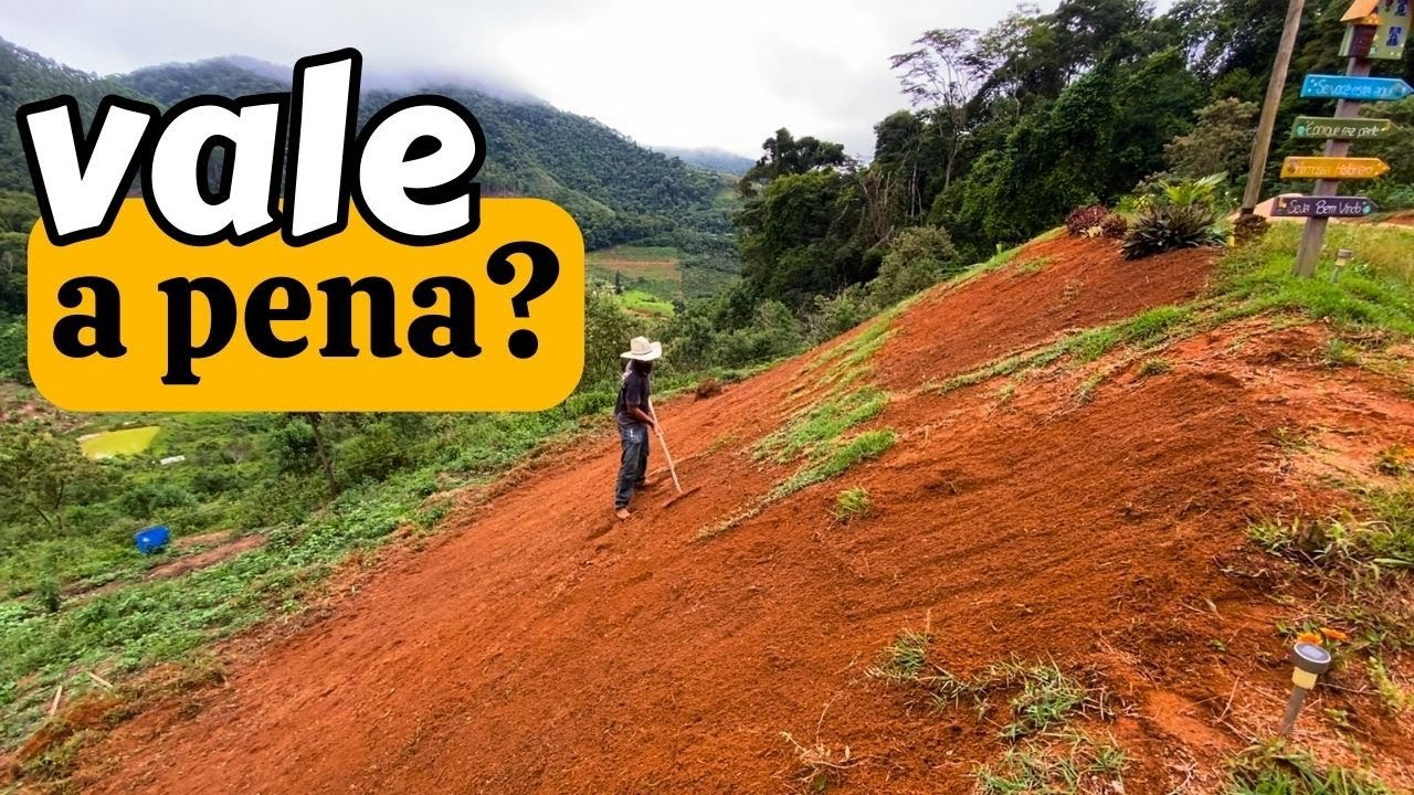 Plantando grama por sementes  Vale a pena?