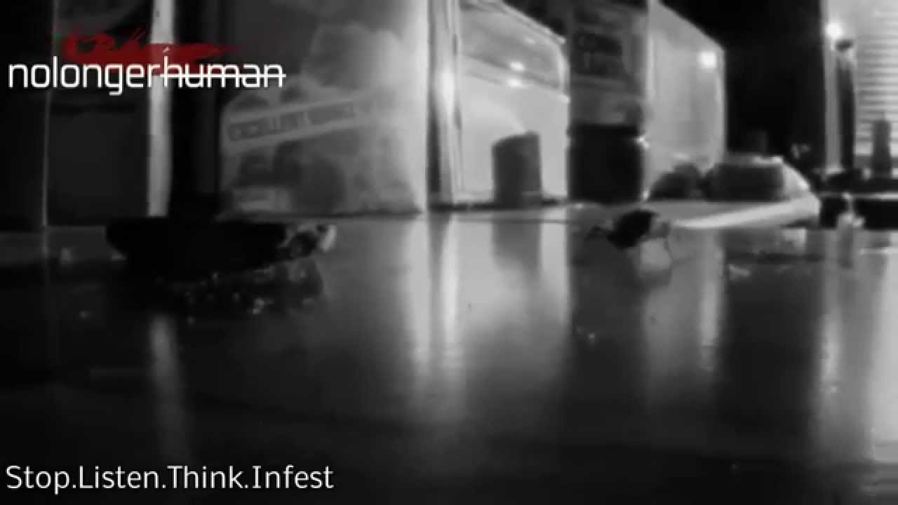 Stop. Listen. Think. Infest. | [Withdrawal] | nolongerhuman