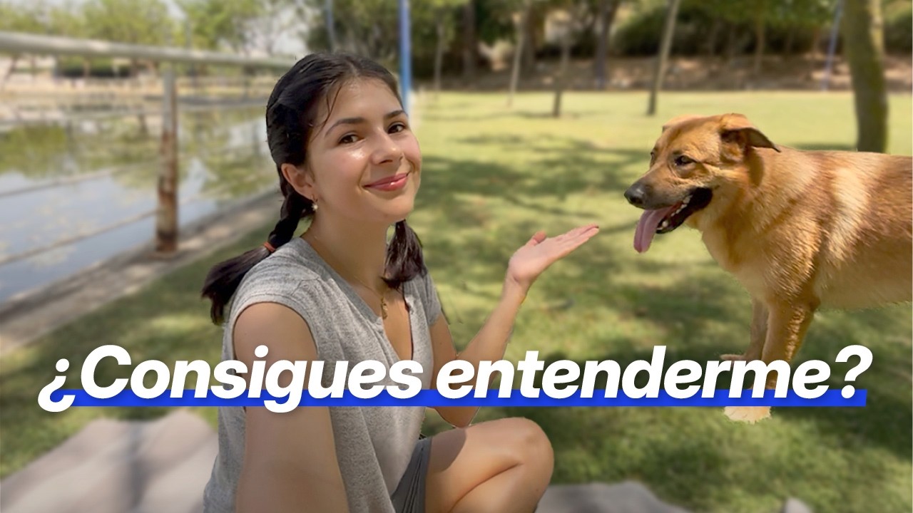 Comprueba tu inglés con 10 consejos para mantener la motivación