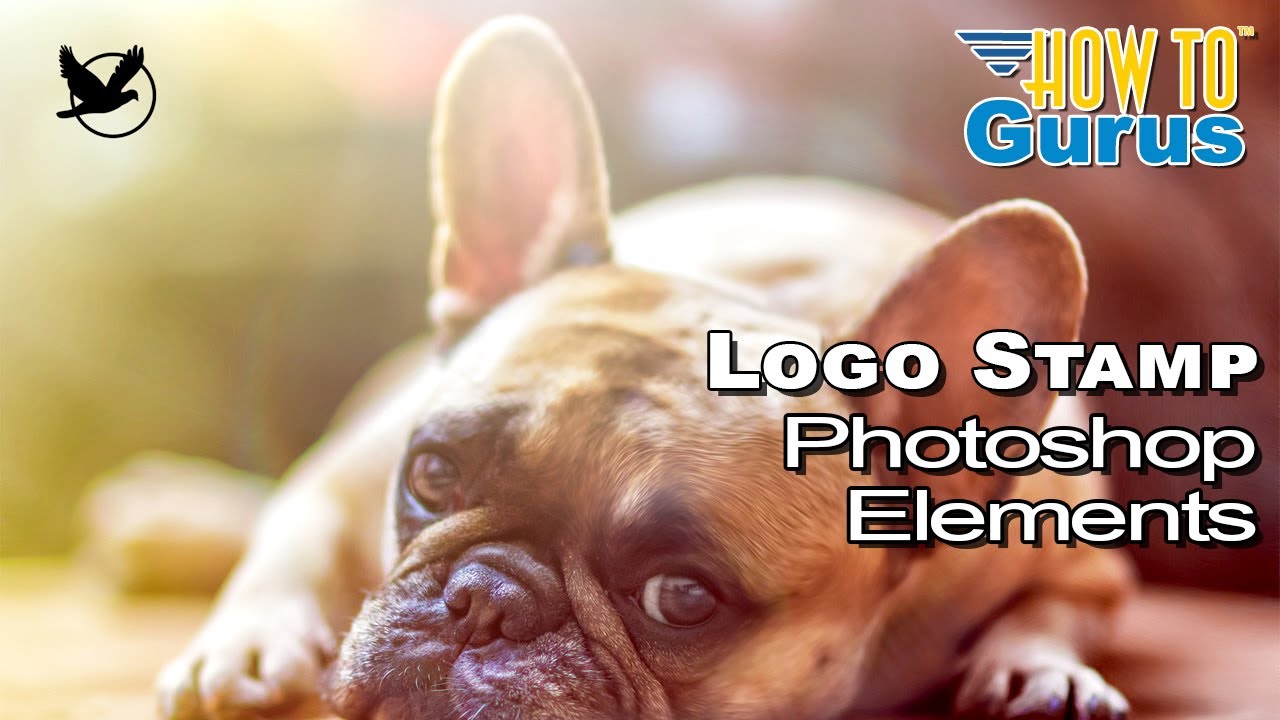 How You Can Add a Logo Stamp Brush Watermark in Photoshop Elements
