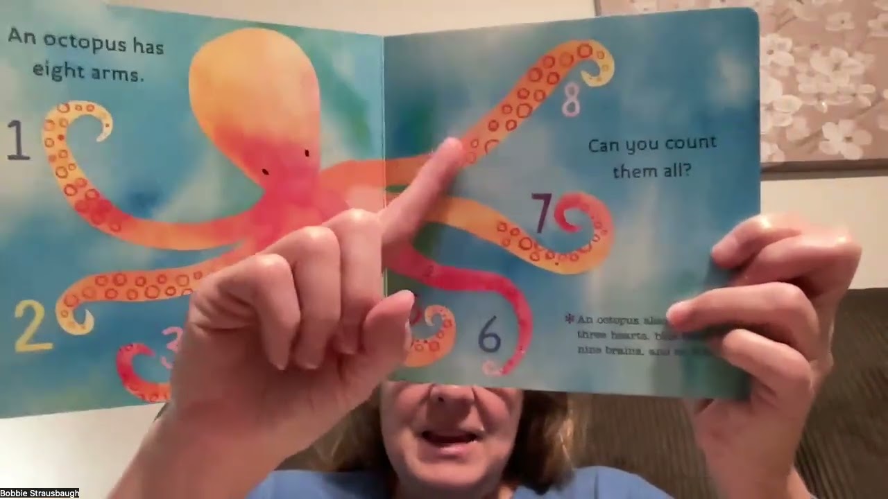 Book Ocean