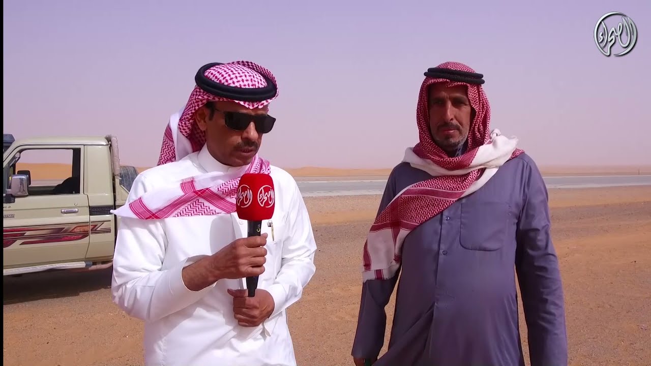 برنامج شديد اهل الابل | مع مالك الإبل/ سعد بن شعوي الميموني المطيري 13- 8 - 1442