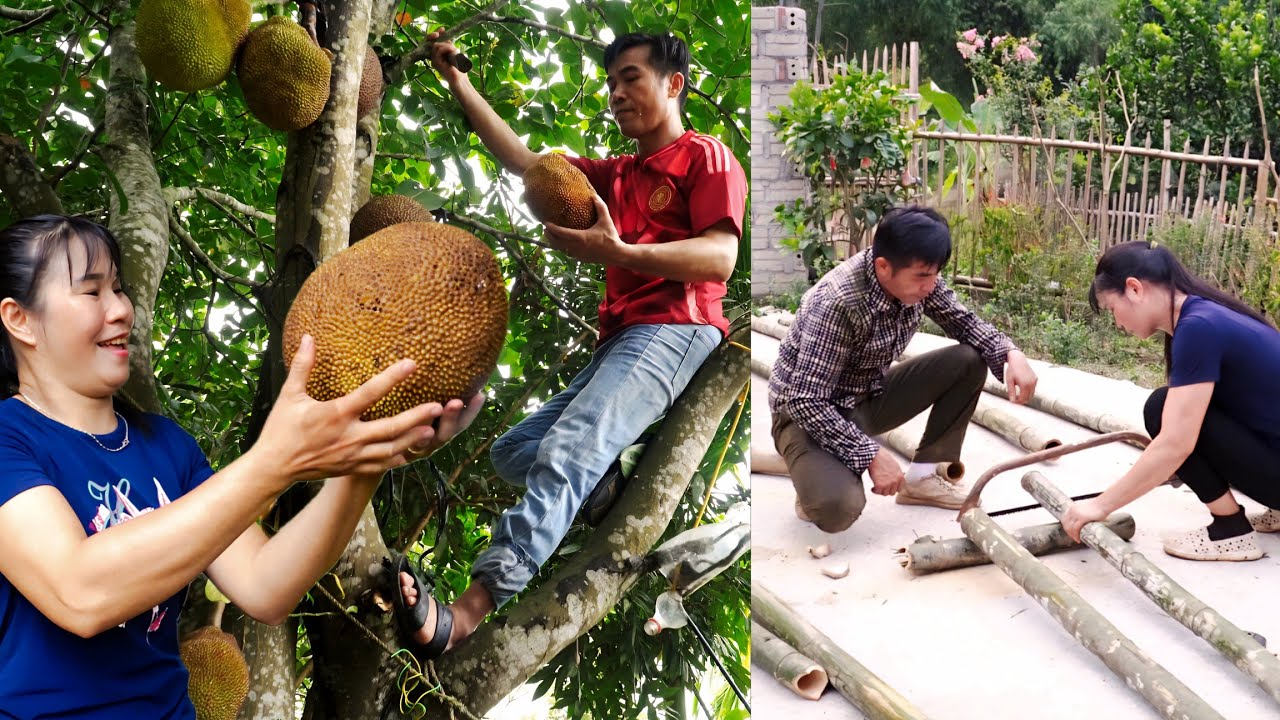 Surprised By the achievements resulting from Mến and Th&uacute;y's hard work in agriculture.