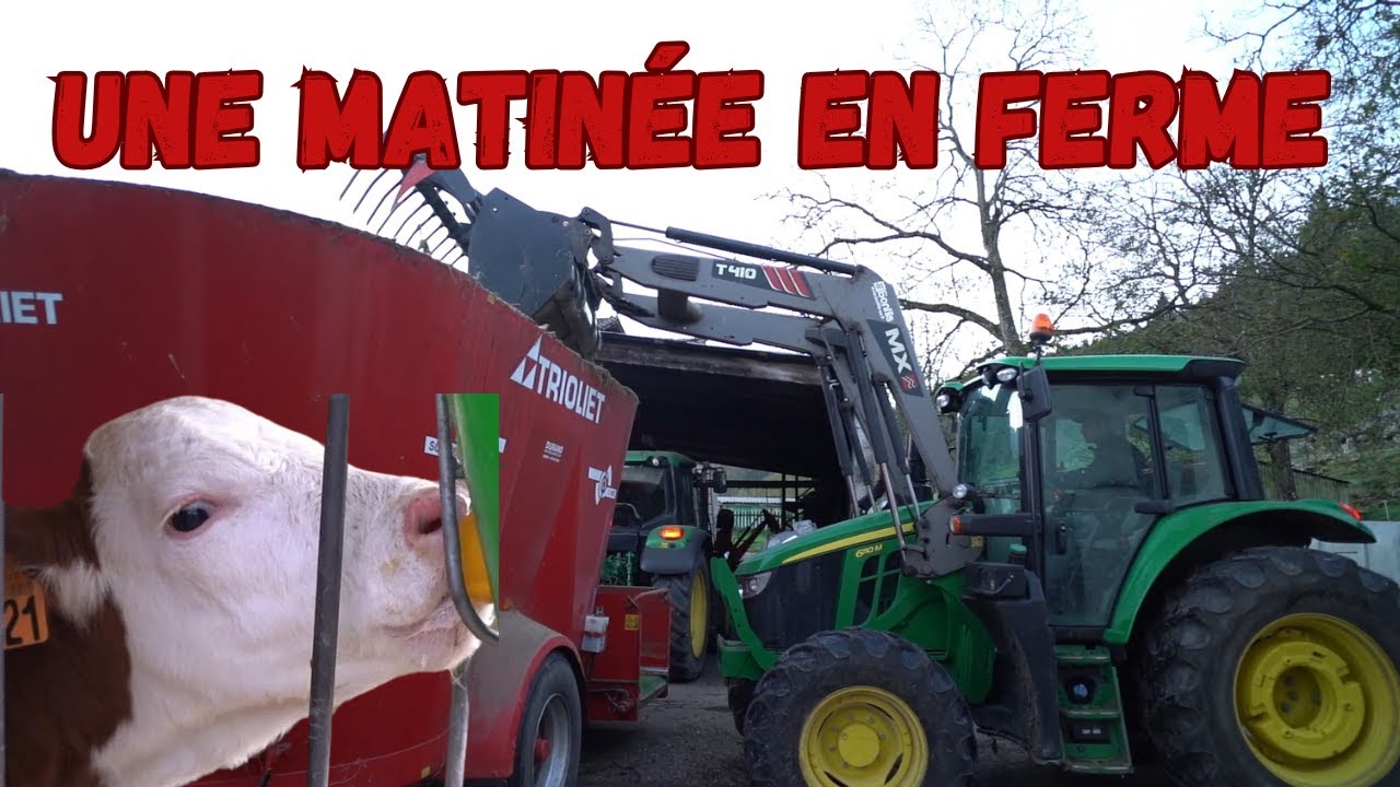UNE MATINEE DANS UNE FERME DE VACHE LAITIERE 🐄