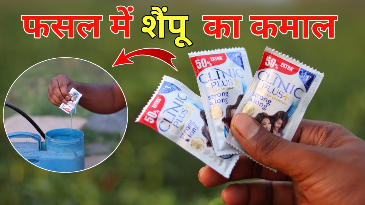fasal me shampoo ke fayde || शैंपू को ऐसे करें फसल में इस्तेमाल फिर देखो कमाल 🫢
