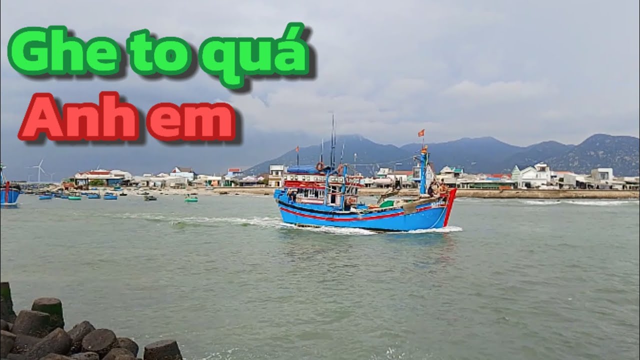 Ghe lưới rút to quá anh em ơi | Đại Dương Thân Yêu Vlog 
