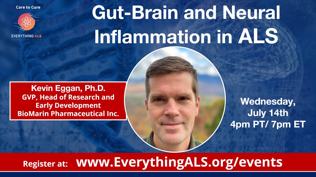 Gut-Brain and Neural Inflammation in ALS