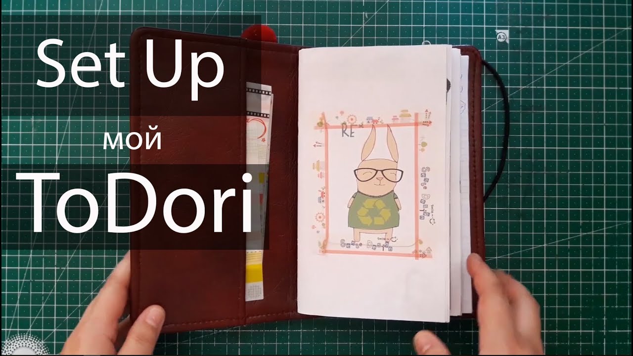 Мой Мидори. Как я оформляю свой ежедневник/TN Planner Set up