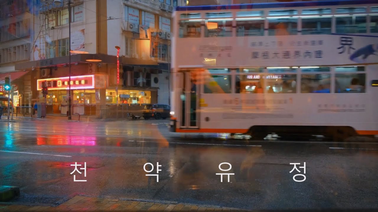 천약 유정   