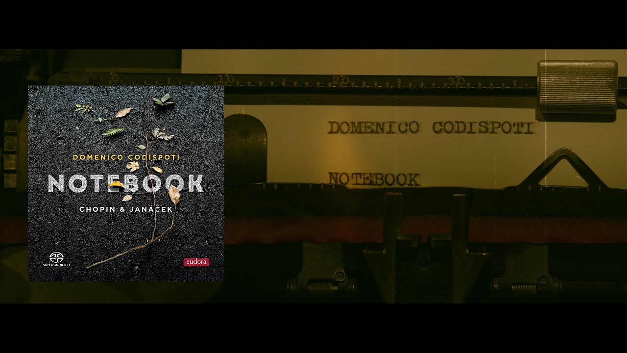 Notebook | Domenico Codispoti | Teaser
