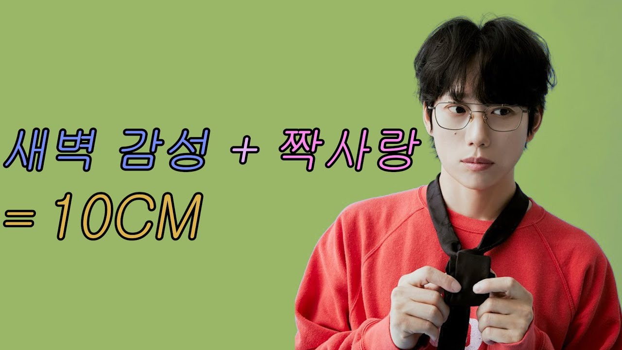사랑처럼 들리지만, 사실은 가슴 아픈 노래 | 10CM – 스토커