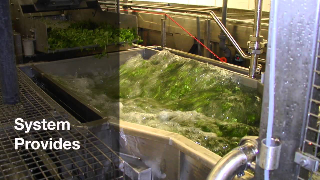 Salad Washer - Ambit Projects