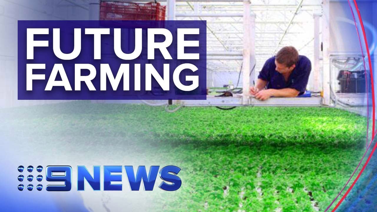 The farmers growing pesticide-free produce without the premium price tag | Nine News Australia