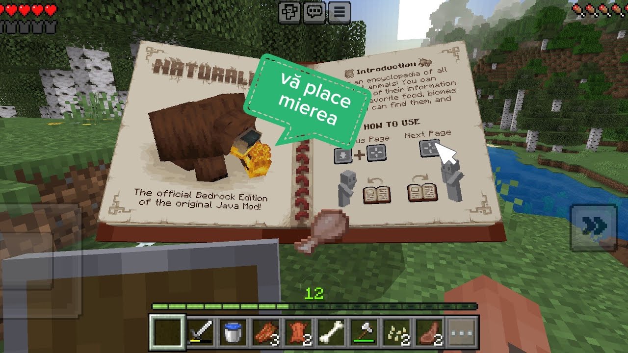 Mi-am făcut un loc nou și am plantat prima plată 🎉