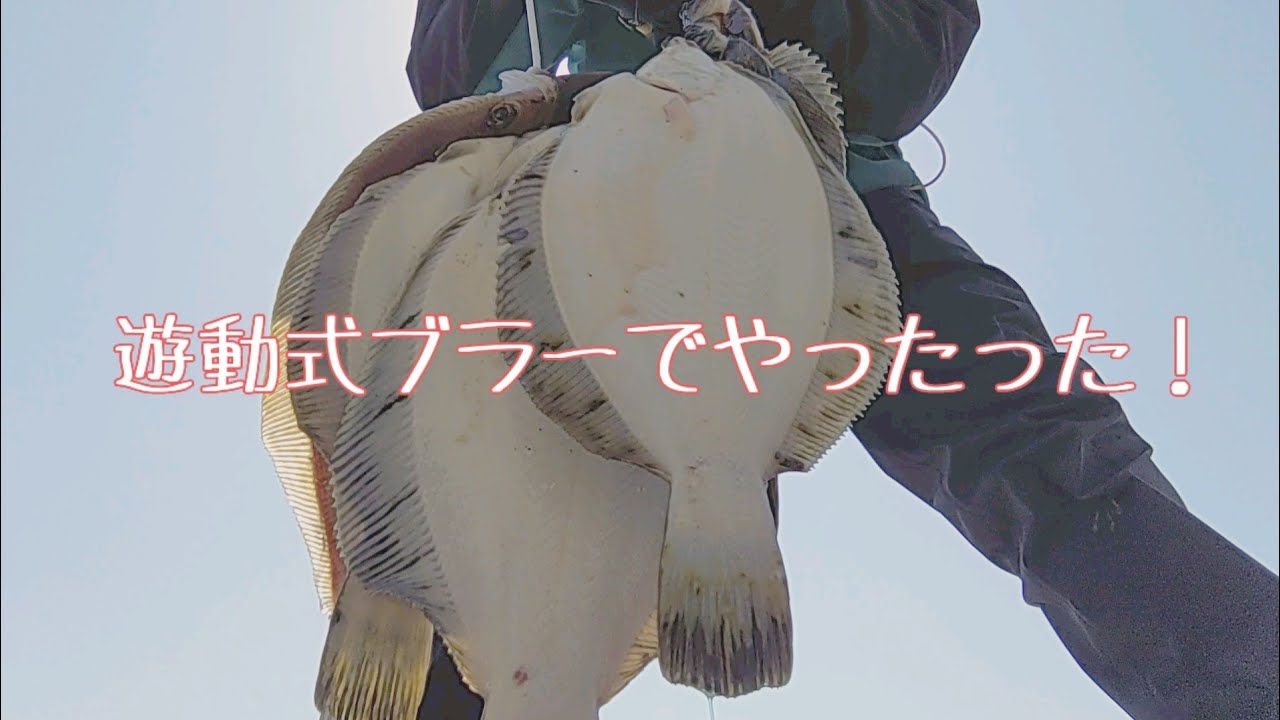 【ブラーゲーム】遊動式ヘビーブラーゲーム【カレイ】