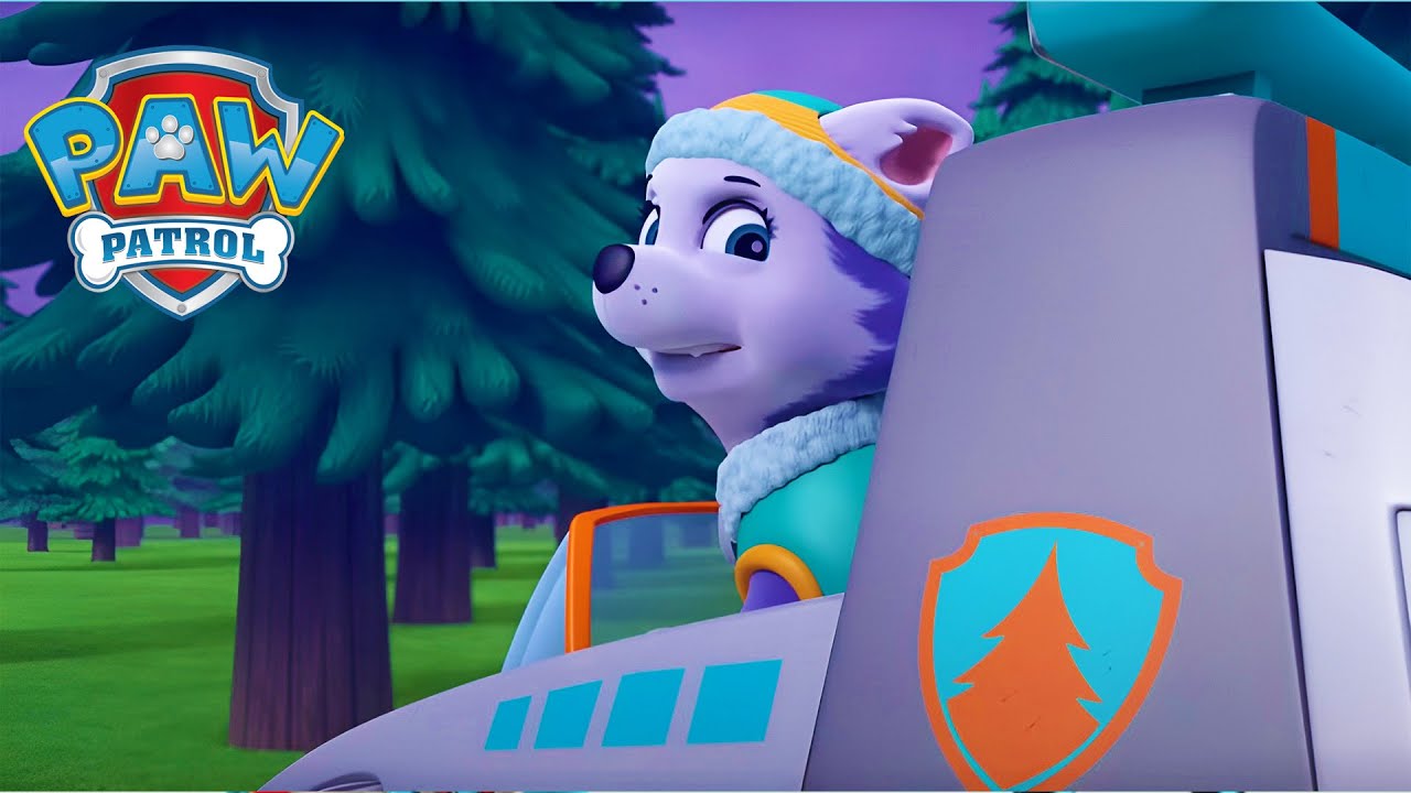 Everest wjeżdża w burzę! 🌩️ - Psi Patrol PAW Patrol po polsku - Pup Tales