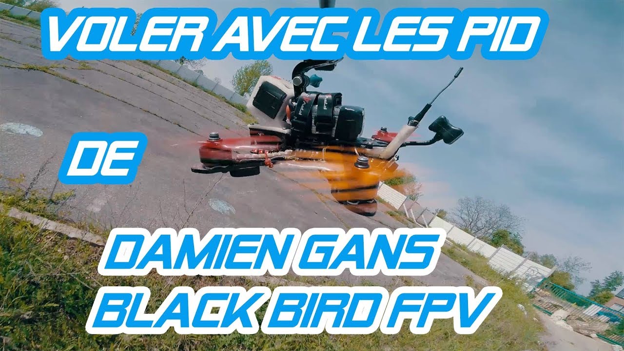 Voler avec les PID de Damien GANS ! - Flightone Black Bird FPV