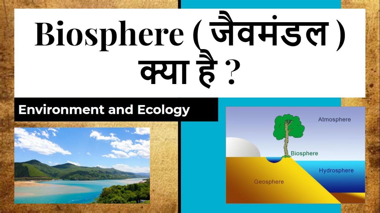 What is Biosphere? जैवमंडल क्या है? UPSC UPPSC UPSSSC SSC