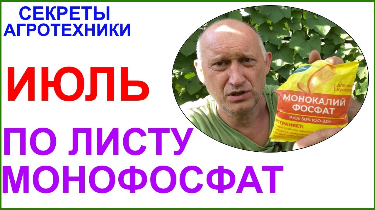 Выдаём Калия Монофосфат (КН2PO4) по листу. Подкормка и профилактика.