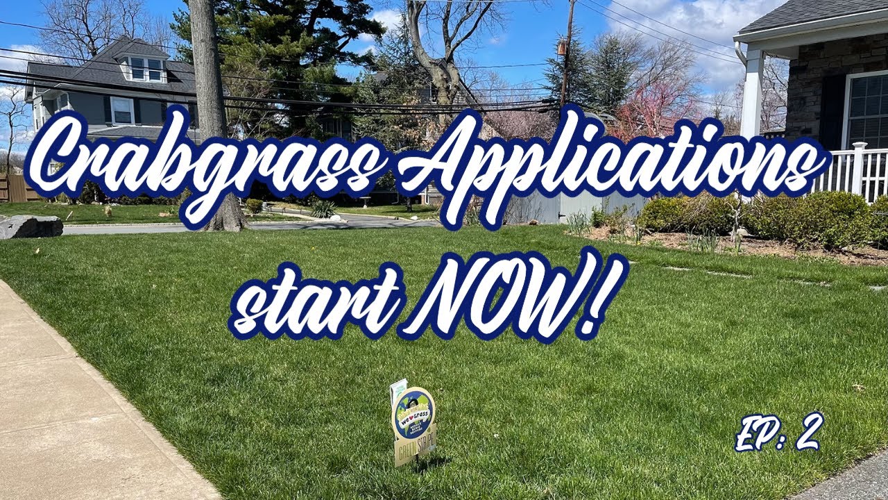 Spring 2023 Ep: 2 Crabgrass | Hairy Bittercress | Grub Control