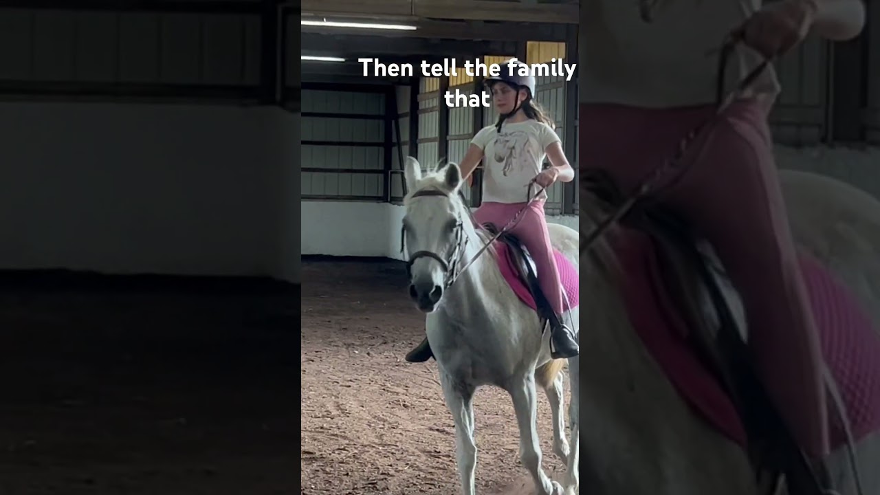 Horse back riding is so easy #horse #equestrian #horseriding #pony #horsemanship #loss#no#it#not