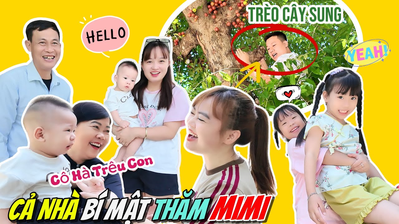 Cô Hà Hí, Mint Vy Cùng Ông Bà Nội Bí Mật Qua Thăm MiMi, Mẹ Huế, Bố Hoàng Trèo Cây Hái Sung Chiêu Đãi