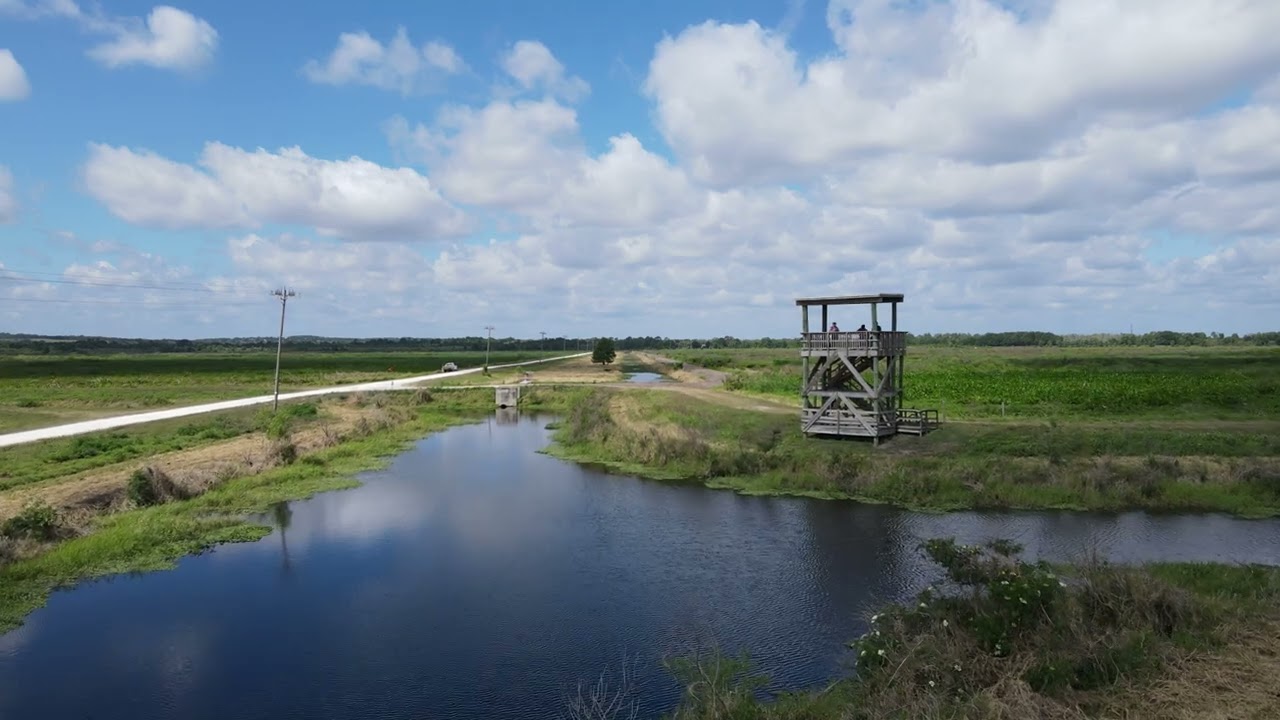 Drone View Over The Lake Apopka Loop Bike Trail Along The North Shore Of Lake Apopka.