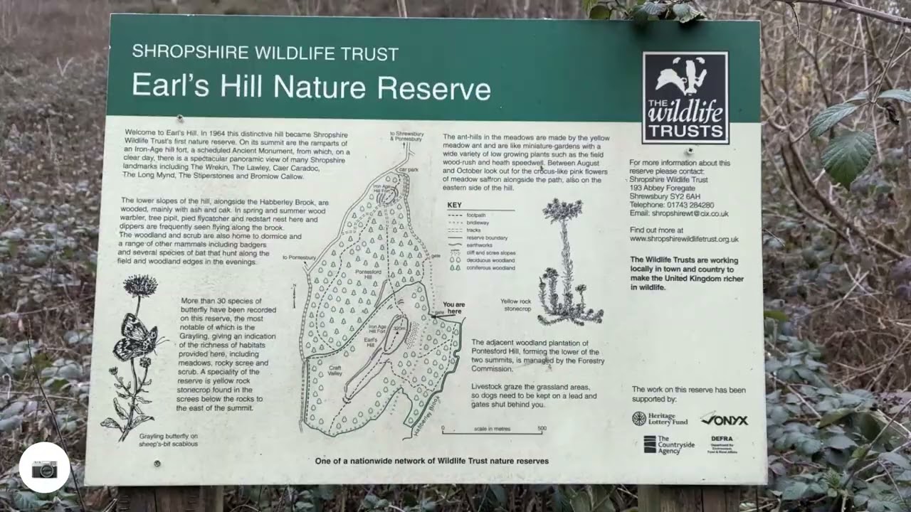 Pontesford & Earl's Hill Summit Walk