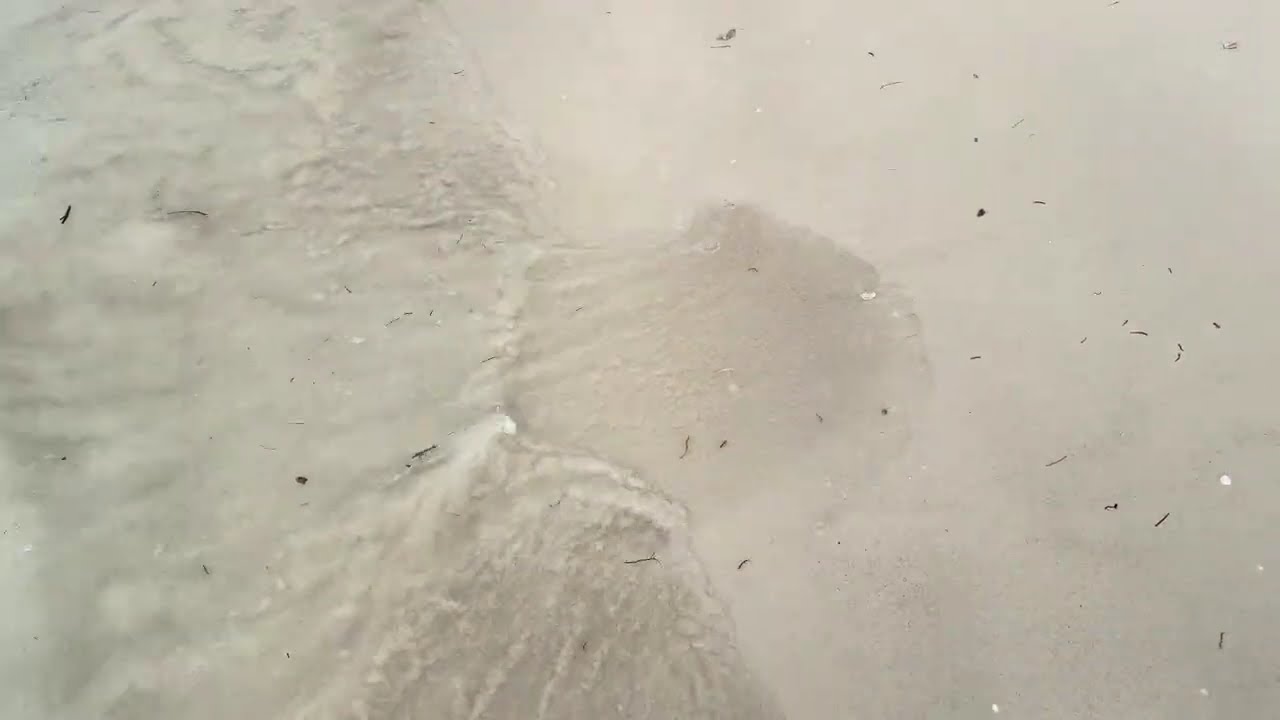 Cuba oceans