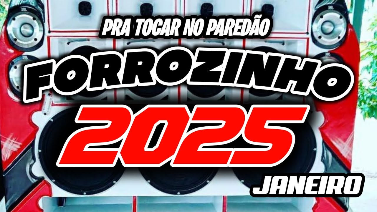 FORROZINHO 2025 REPERTÓRIO ATUALIZADO 2025 CD NOVO 2024 SELEÇÃO 2025 #nordeste #piseiro #forrozin