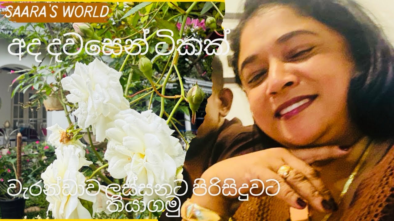 අව්ව වැස්ස කියලා ගෙදර වැඩ කල් දාලා බෑනේ 🫶#gardendecor #natureflowers #homedecor #mylife 