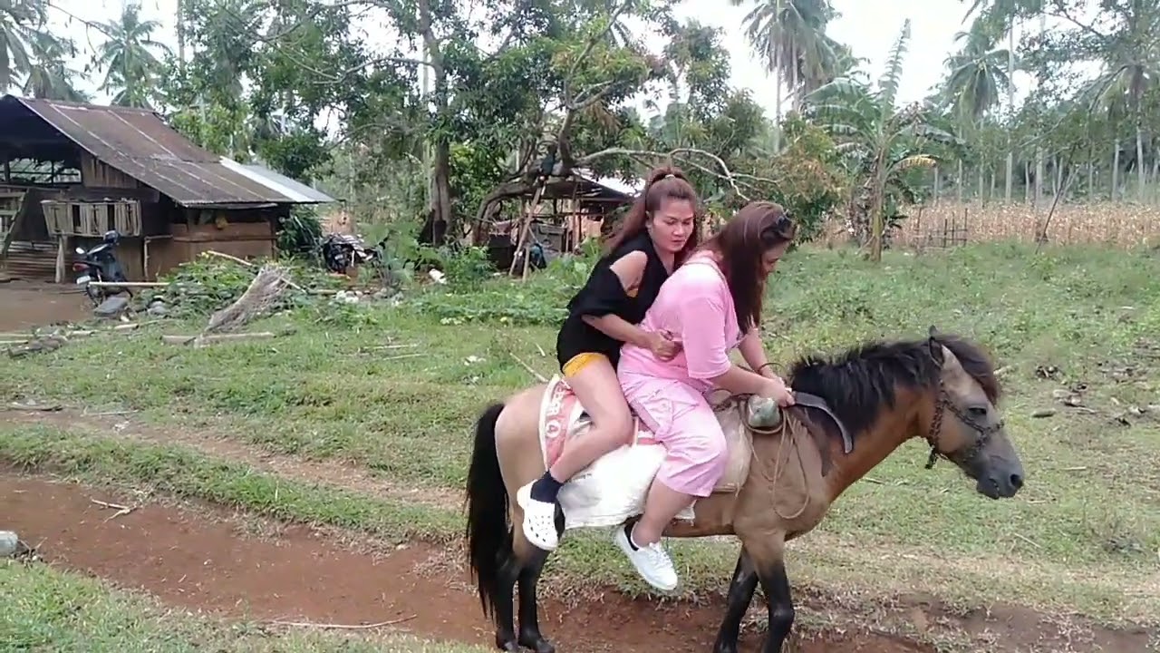 we will go ahead to gather wood with the horse #riding #funny #viralvideo #youtube #adventure
