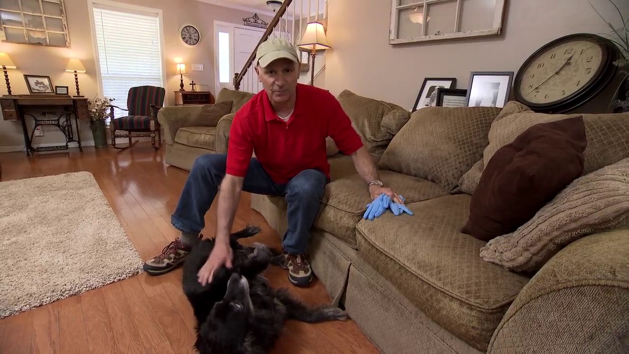 How to Clean Pet Hair Off Furniture | Today's Homeowner with Danny Lipford