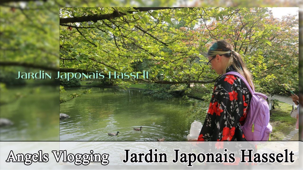 JARDIN Japonais (Hasselt)