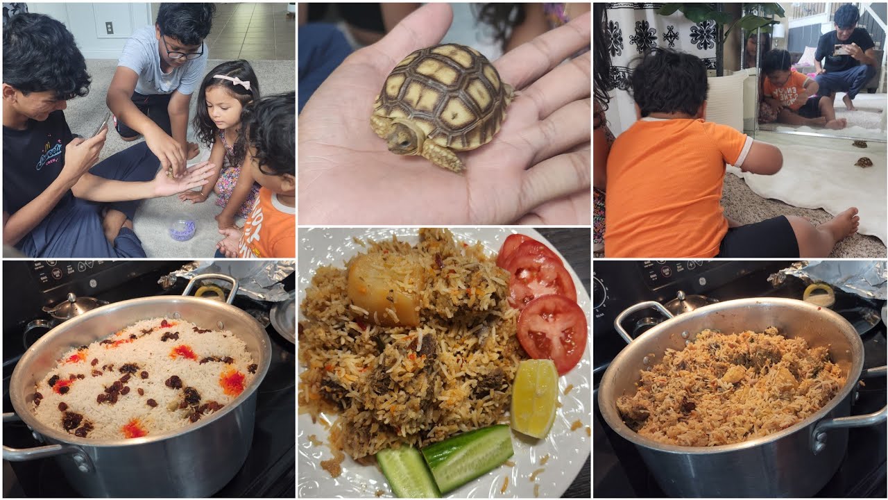 ছোট ভাইয়ের আজব সখ,কচ্ছপ পালবে😩|অসাধারণ ল্যাম্ব কাচ্চি বিরিয়ানি রেসিপি কোন গন্ধ ছাড়াই