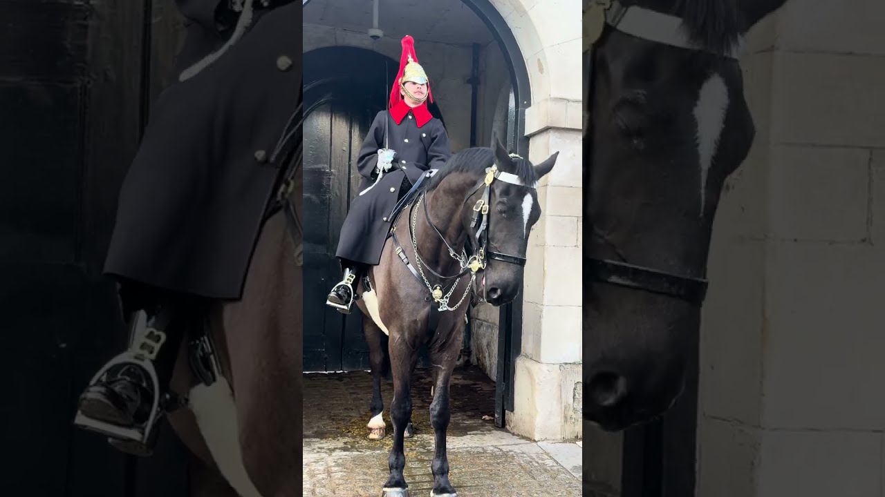 Picture-Perfect Moments: Tourists at Horse Guards London