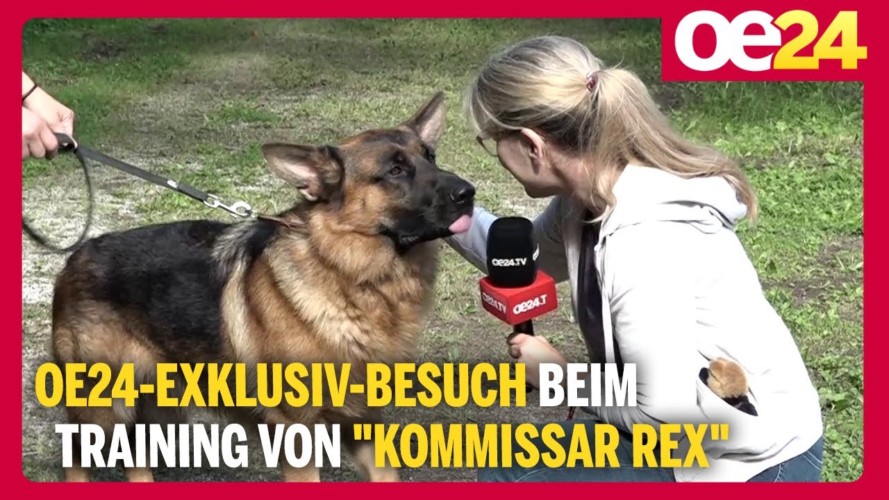 oe24-Exklusiv-Besuch beim Training von 