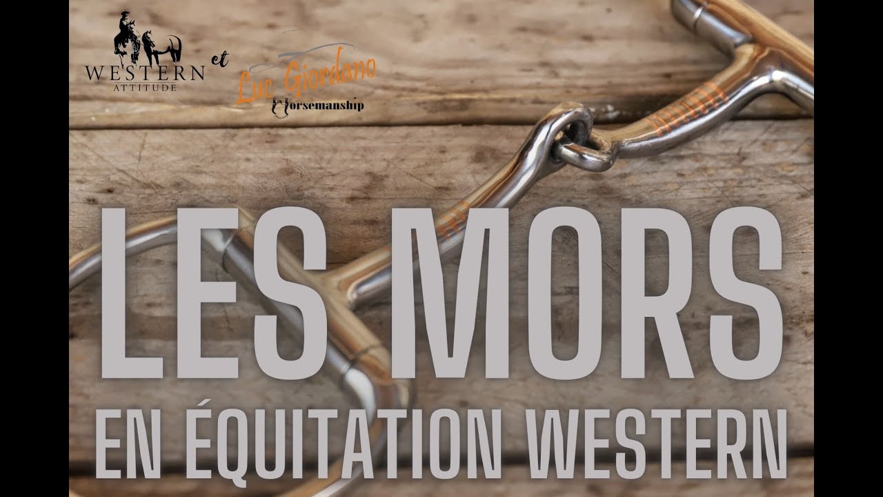 Les mors équitation western : mors de filet et mors à levier