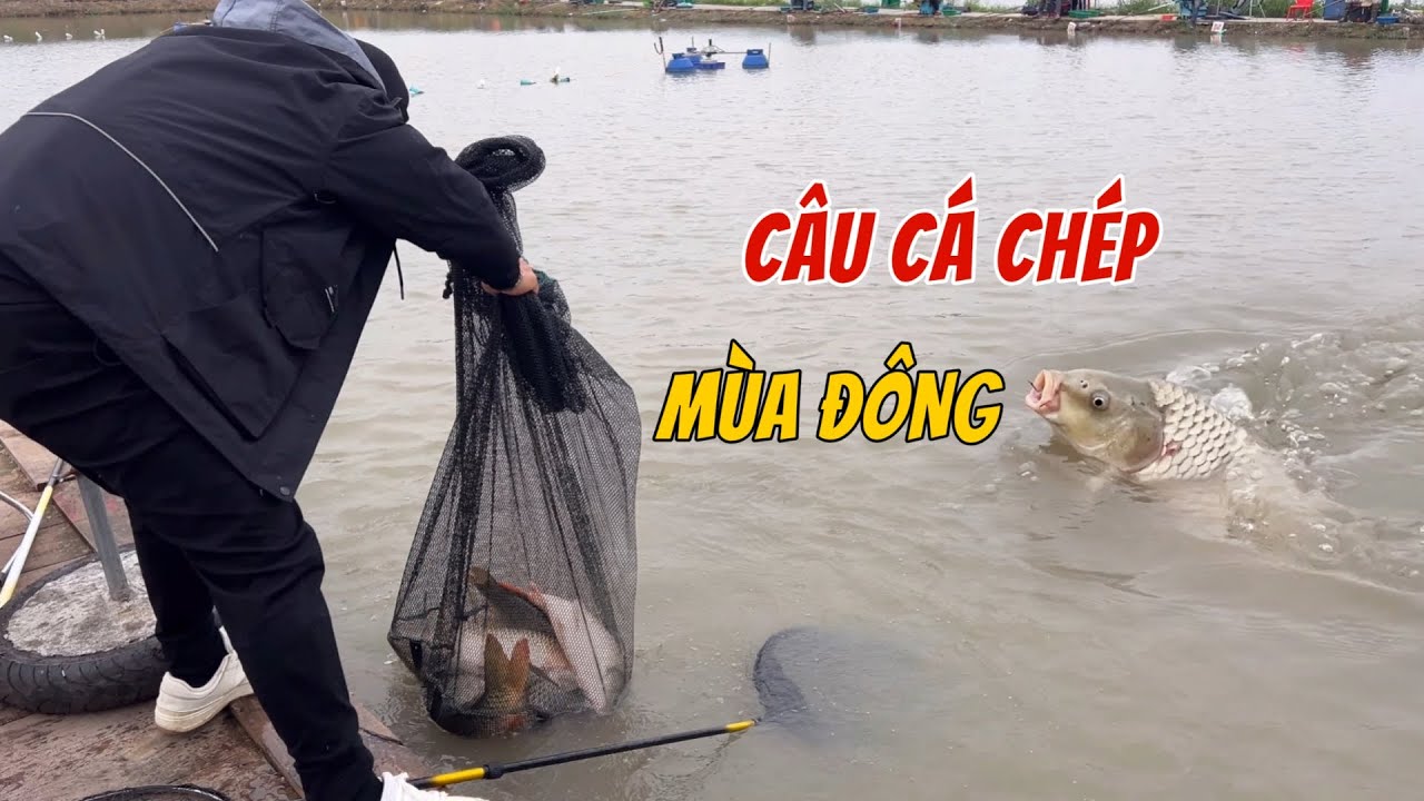 Câu cá chép dịch vụ mùa đông