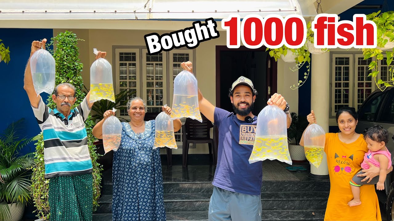 1000 സീബ്രയെ മേടിച്ചാലോ??? | Bought Thousand Zebra Fish