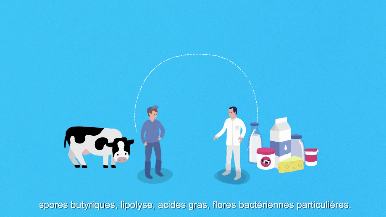 L'analyse de la qualité du lait en laboratoire interprofessionnel