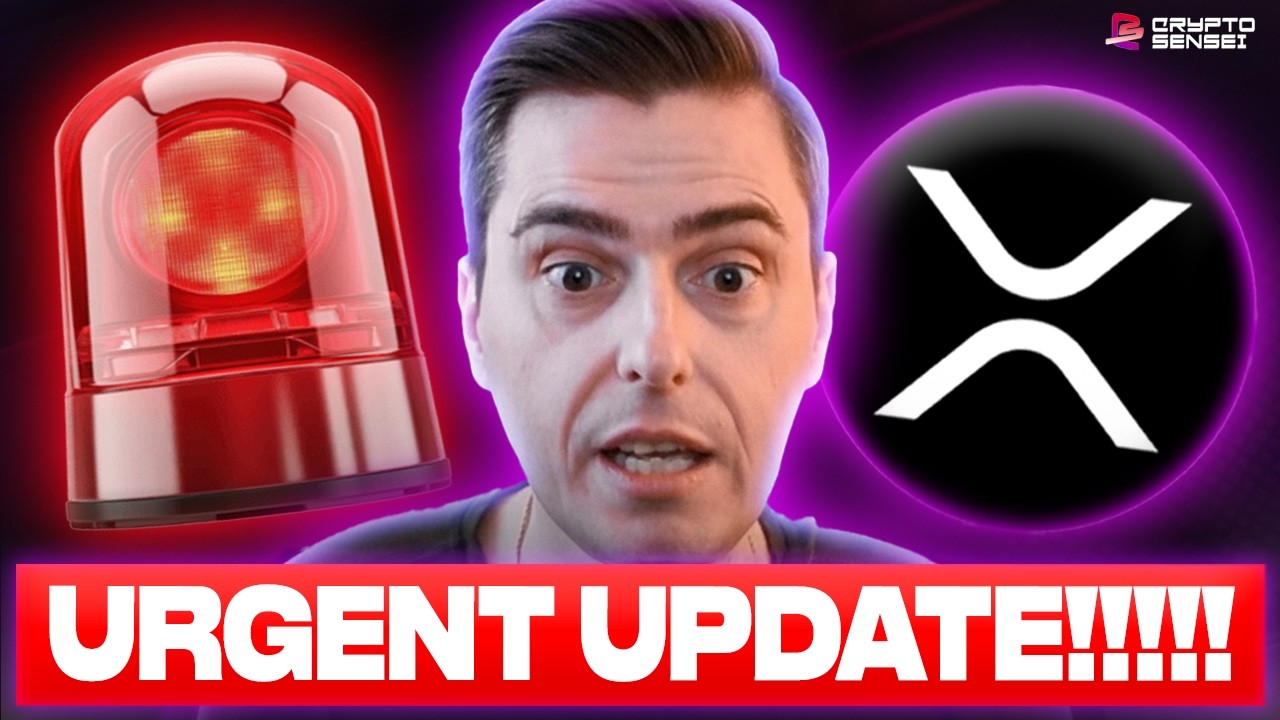 URGENT UPDATE!!!! THIS IS INSANE! (THIS IS NOT THE END! HOLDERS PLS WATCH)