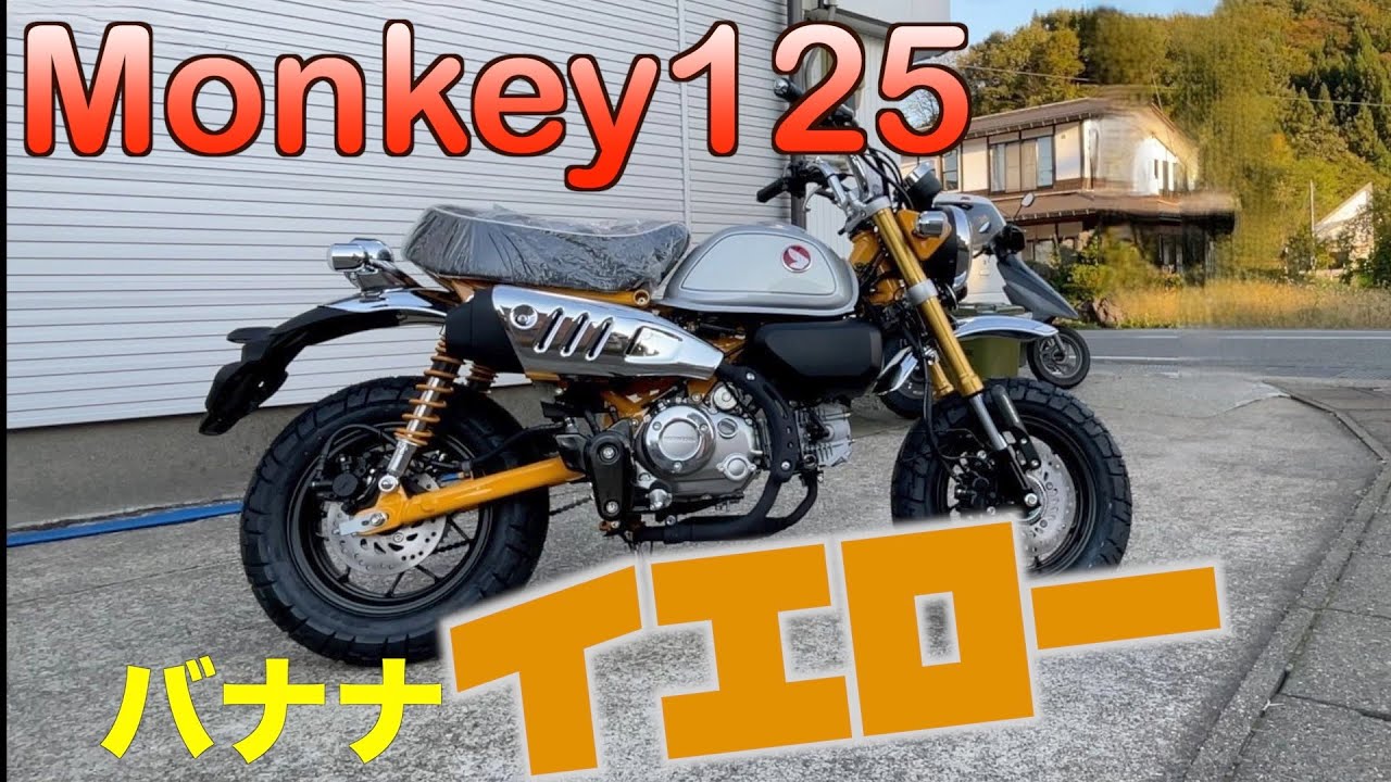 新色【モンキー125】2024イエローカラーで新旧車両を色々比較