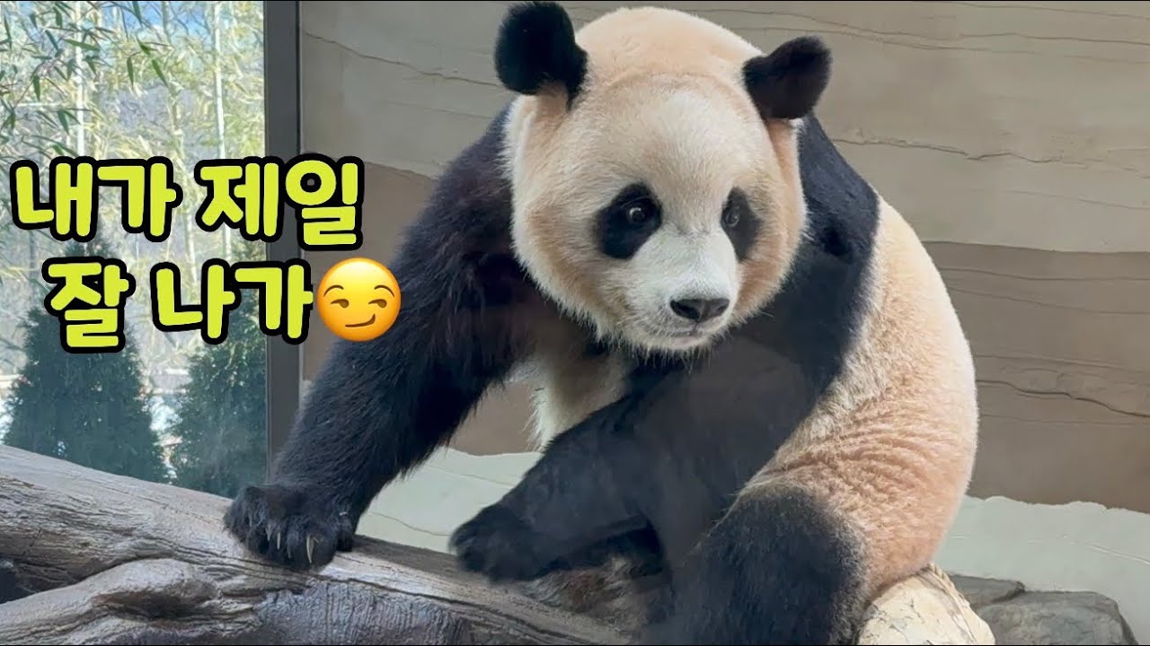 루풍당당🏠💜